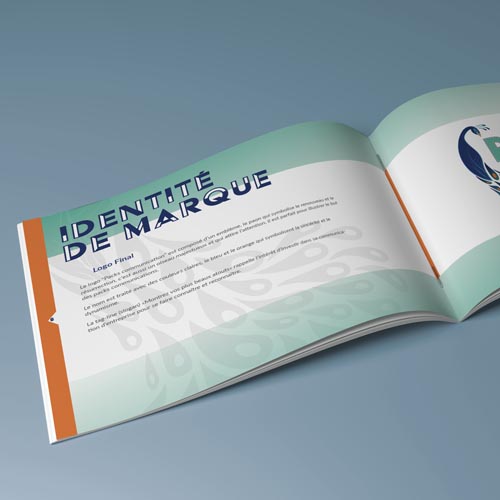 brochure identité de marque